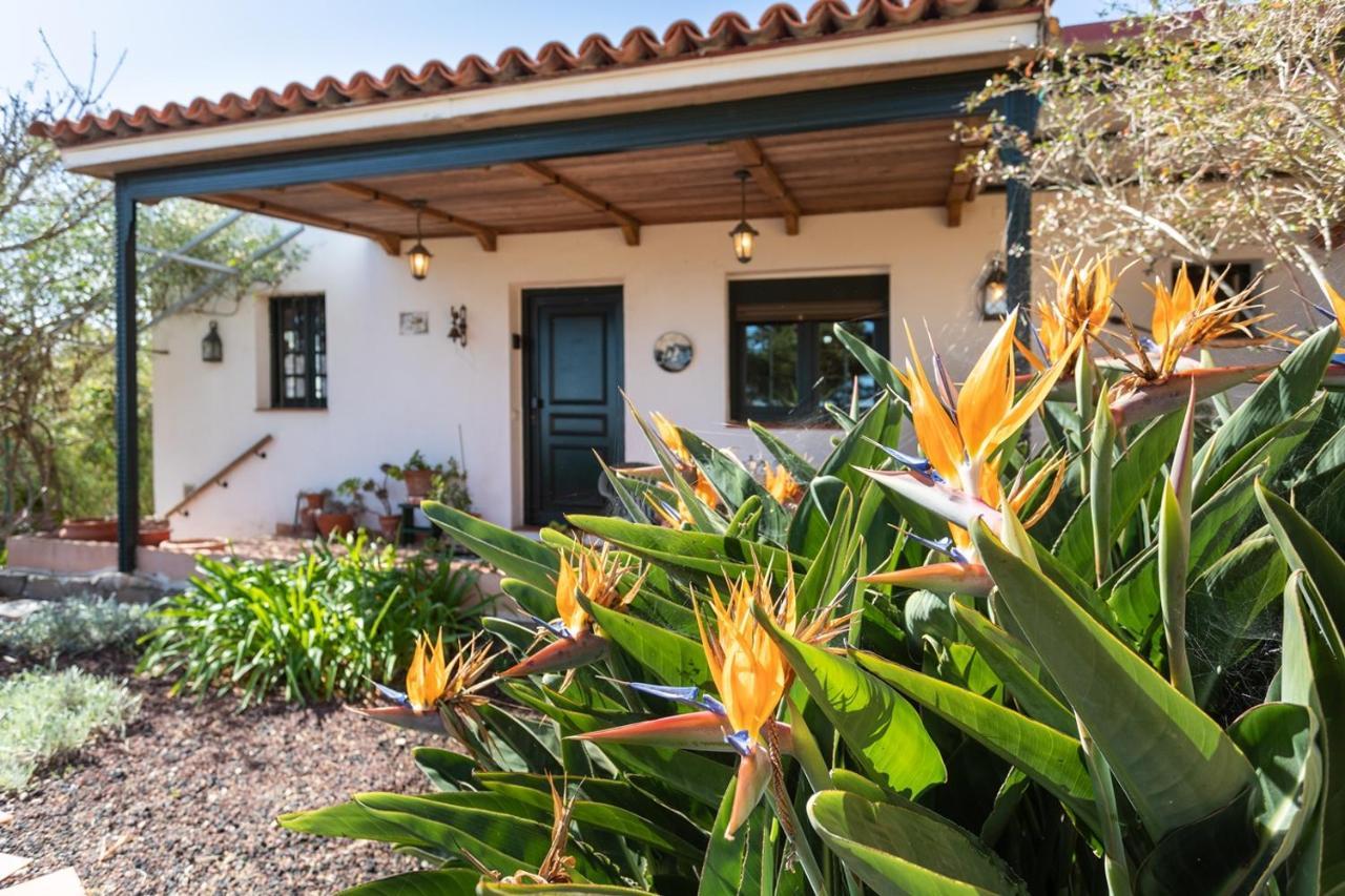 Live La Laguna Casita Vieja Ngoại thất bức ảnh