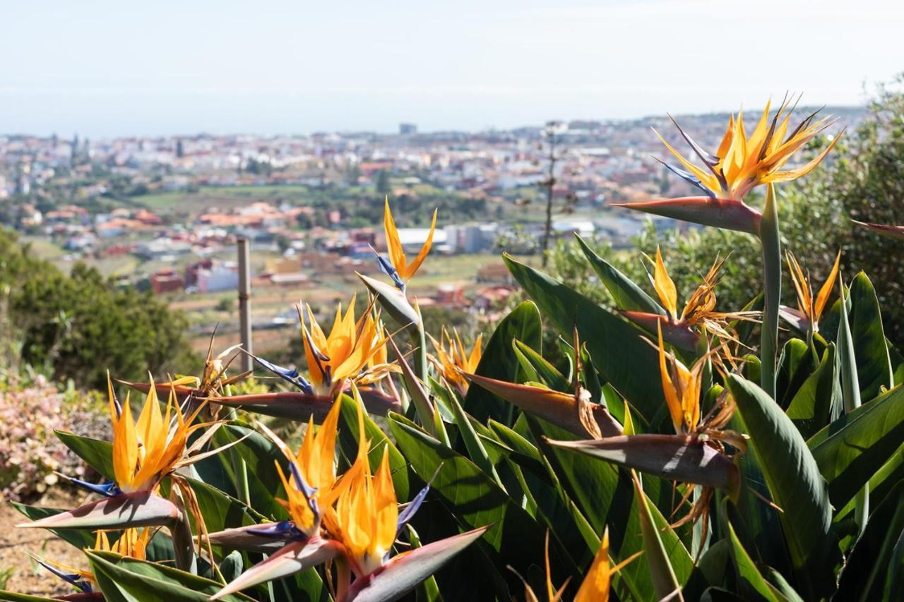 Live La Laguna Casita Vieja Ngoại thất bức ảnh